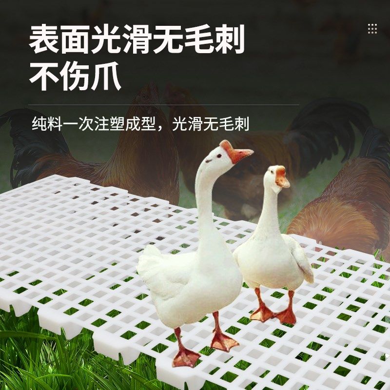 养鸡用漏粪板家禽k塑料漏粪网格加厚漏屎地板鸡鸭鹅鸽子用漏屎地,畜牧/养殖物资,畜牧/养殖器械,淘宝优惠券,粉丝福利购,淘宝优惠卷