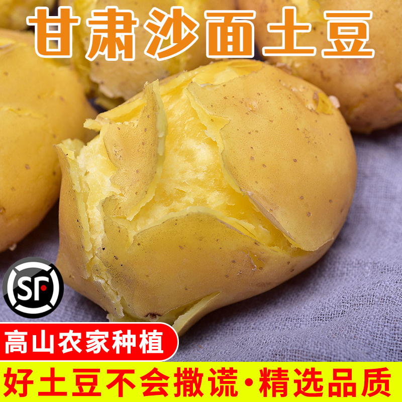 甘肃定西土豆黄皮包邮2026年新鲜现挖黄心沙面马铃薯整箱农家自种