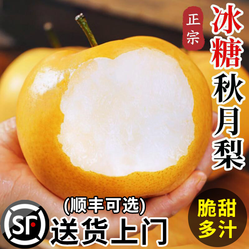 正宗山东秋月梨新鲜梨子水果当季整箱包邮莱阳9斤蜜梨冰糖雪梨子