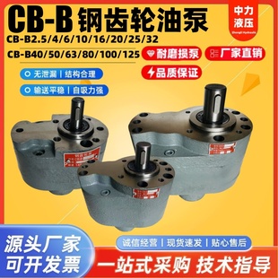 B40 B10 B25 B50 B100 B80 B125钢齿轮油泵 B16 B63 B32