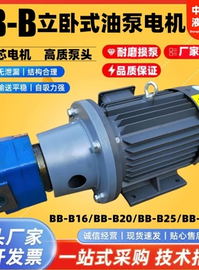 BB-B25JZ/B16JZ摆线齿轮油泵电机组BB-B20JZ/B32NJZ润滑泵组NJZ-1