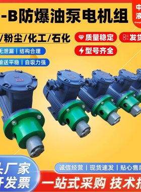 BB-B/CB-B10/B6/B4/B25/B32/50/B63/B80/B125齿轮油泵防爆电机组
