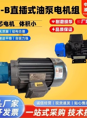 BB-B10/B6/B4/B16/B125/B25/B32/B63/B50N JZ摆线油泵电机组NJZ-1
