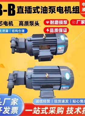 上海东高液压BB-B16Y/32/25Y/20YJZ-1摆线油泵电机组BB-B63Y2JZ-1
