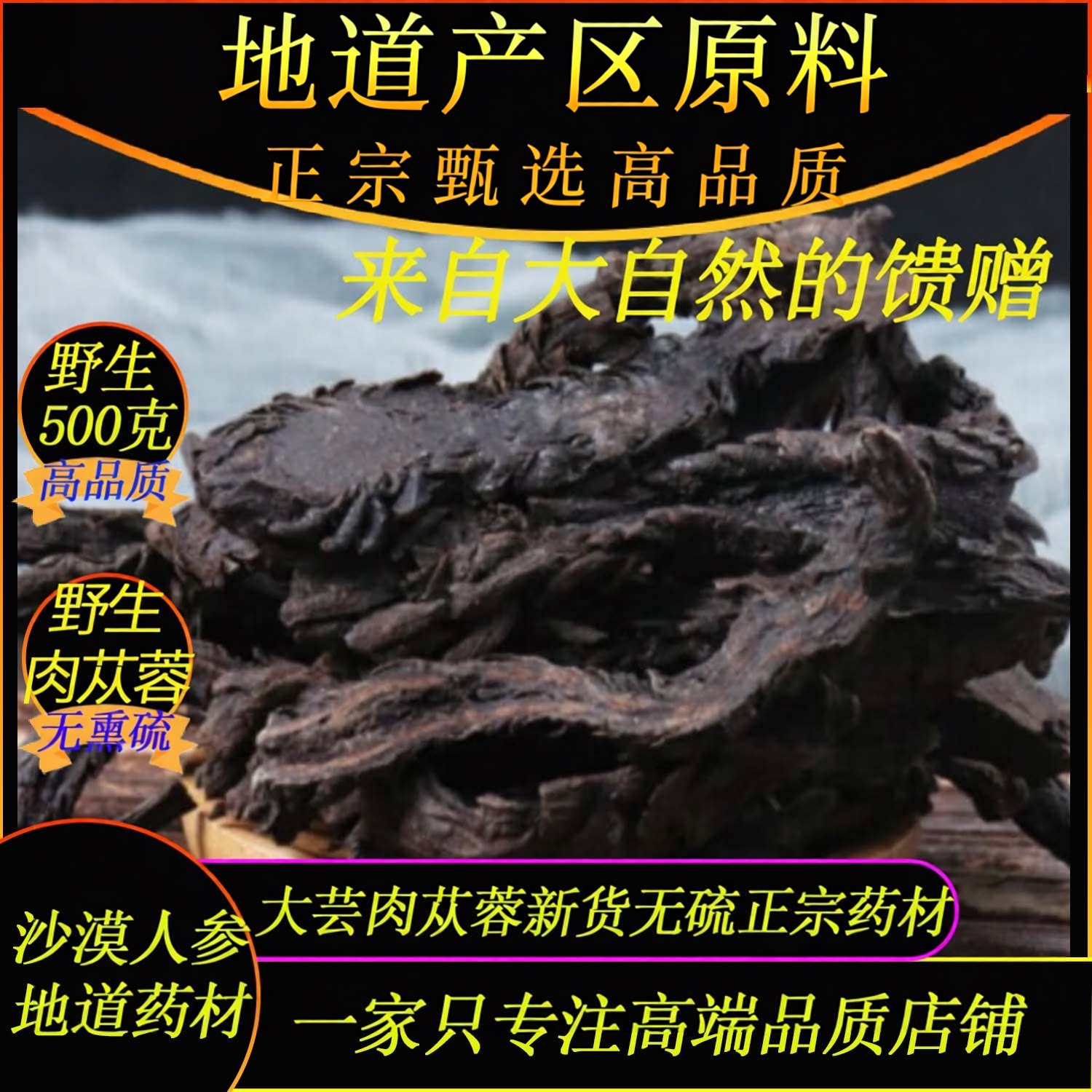 正宗野生肉苁蓉500克高品质阿拉善地道大芸肉苁蓉滋补茶灸肉苁蓉