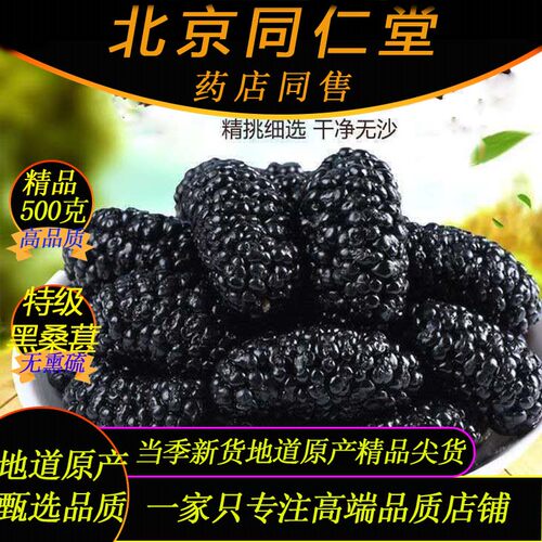 同仁堂免洗出口级黑桑葚500克