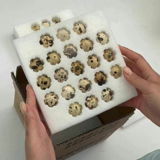 【实惠超值】新鲜鹌鹑蛋姥姥家养殖天然营养健康新鲜生蛋整箱批发