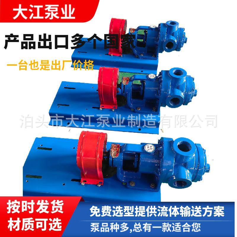 直销NYP3.6高粘度泵容积式转子泵内啮合齿轮泵大江泵业