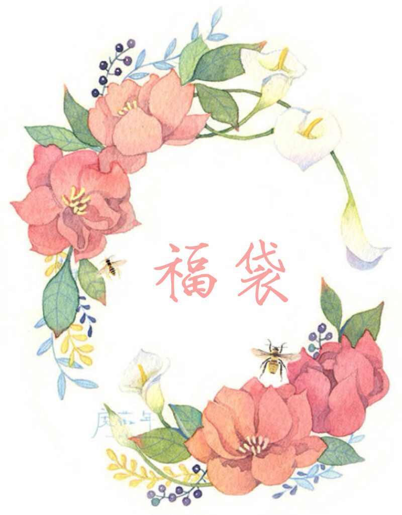 呓语福袋 橡皮卡纸胶带印台手账 每种福袋限拍一个