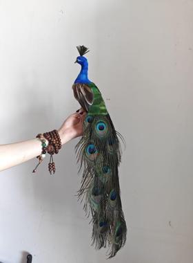 彷真孔雀节日礼品家俱摆件ins风真羽毛