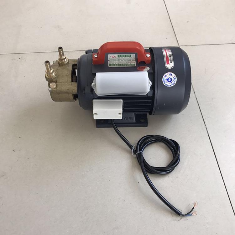 供应蒸汽发生器锅炉专用多级旋涡泵 550w小型自动高压w型给水泵