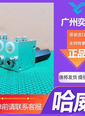 德国进口LHDV33 H-15-C6-350/350平衡阀哈威HAWE【全新】