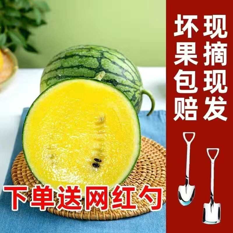 当季特小凤冰淇淋现摘现发新鲜黄瓤小西瓜脆甜多汁肉水果黄心西瓜