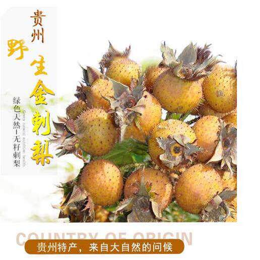 金刺梨鲜果新鲜现摘5斤新果贵州特产野生刺梨鲜果泡酒泡水打果汁