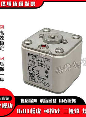 170M4493 170M4494 170M4495 170M4496巴斯曼熔断器现货170M4497