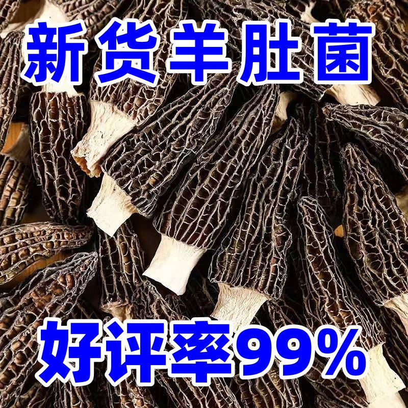 云南高山精选羊肚菌特级