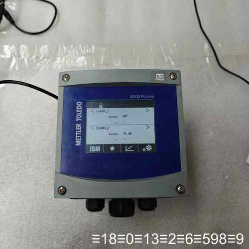 M300 Process变送器，双通道，物料号：302