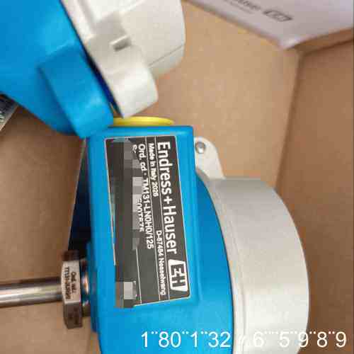 EH EndressHauser TM131温度变送器