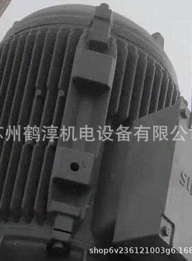 工厂直发电机 22KW 4P B5 4极 1LE0001-1EB43-3AA4冷却水塔专用电