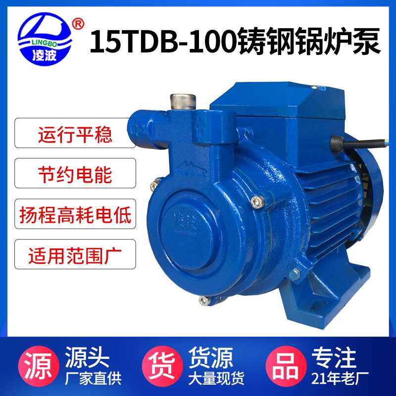 工厂直销牌15TDB-100铸钢耐高温高压旋涡式锅炉供水泵家用增压泵