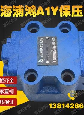 上海浦鸿液压四柱液压机折弯机保压阀A1Y-Ha10B/Hb10B液控单向阀