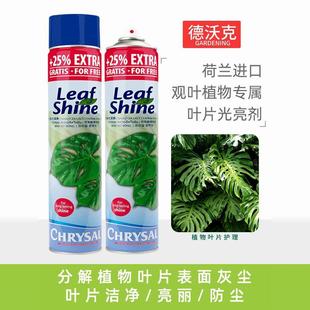 荷兰进口可利鲜鲜亮剂光亮剂绿植叶片鲜亮进口亮叶剂亮光剂光亮剂