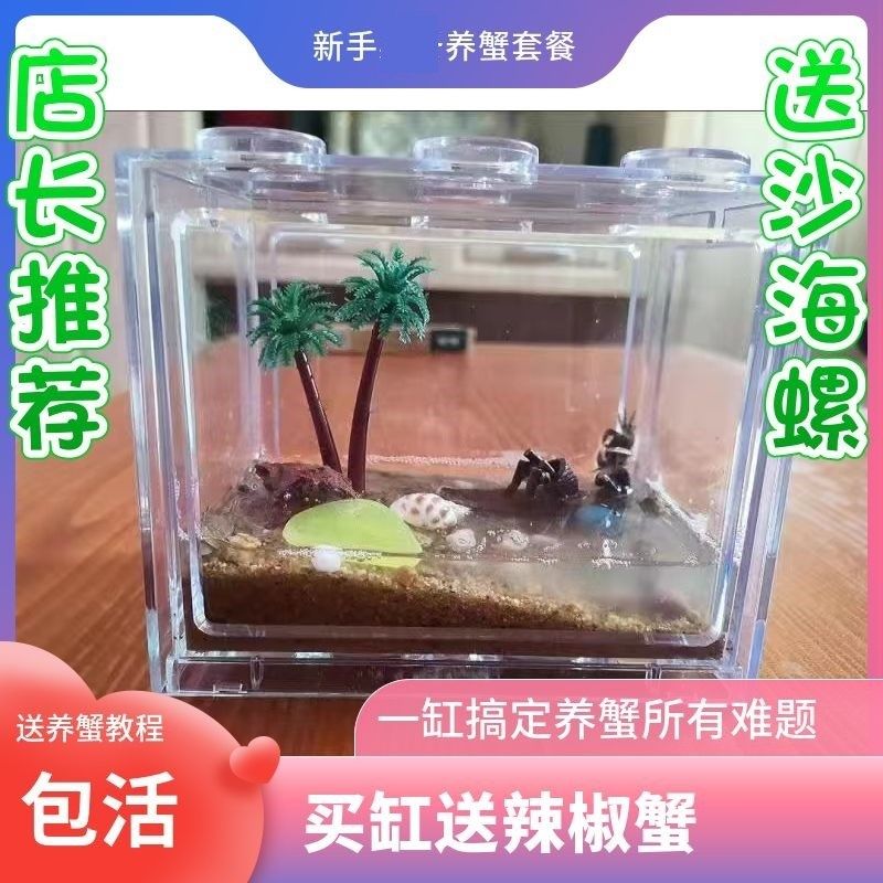 螃蟹生态缸辣椒蟹套餐迷你小螃蟹桌面微景观儿童生态缸懒人宠物