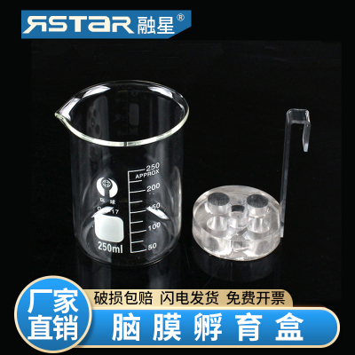 脑膜孵育盒 圆形孵育盒 加配套烧杯