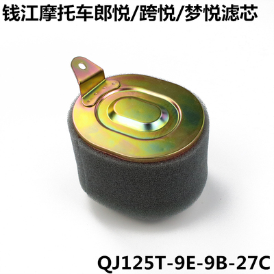 钱江踏板摩托车郎悦跨悦滤芯QJ125T-9E-9B-9G-27C空气滤芯滤清器