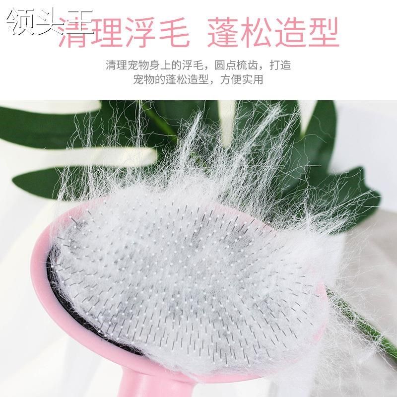 狗梳子猫咪刷子泰迪金毛刷子脱毛梳狗毛刷宠物梳毛器中型犬用品,宠物/宠物食品及用品,猫狗梳子/排梳,淘宝优惠券,粉丝福利购,淘宝优惠卷