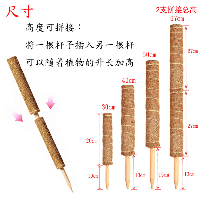 绿萝爬藤棒椰棕桩柱绿植花卉支撑花架龟背竹椰丝杆阳台花盆攀爬架