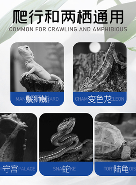 爬虫补钙粉D3爬宠陆龟鬃狮蜥蜴豹纹守宫爬虫肠道BAC红土粉益生菌