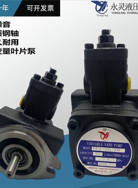 仙居永灵YLC变量叶片泵VP1-15-70 20 12-35 3.5 5.5 7.0 花键油泵