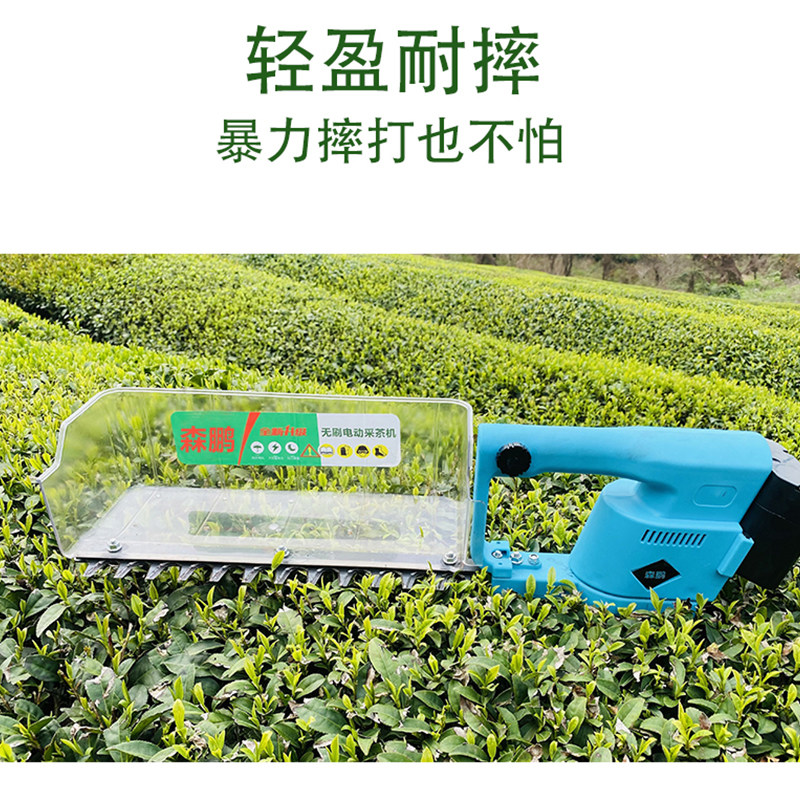 新款电动采茶机单人小型充电式茶叶收割采摘茶机草莓茶树剪枝机