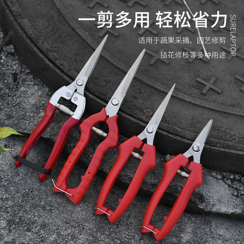 剪枝果树修枝剪刀园艺修剪树枝园林省力修花枝剪家用强力剪子神器