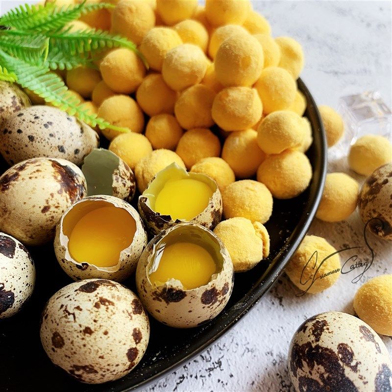 Cc鲜肉冻干鹌鹑蛋黄60g罐装 新品天然卵磷脂猫咪狗狗零食营养美毛,宠物/宠物食品及用品,猫零食罐,淘宝优惠券,粉丝福利购,淘宝优惠卷