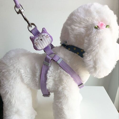 狗狗牵引绳背心式三角胸背中小型犬泰迪遛狗绳幼犬宠物网红胸背带