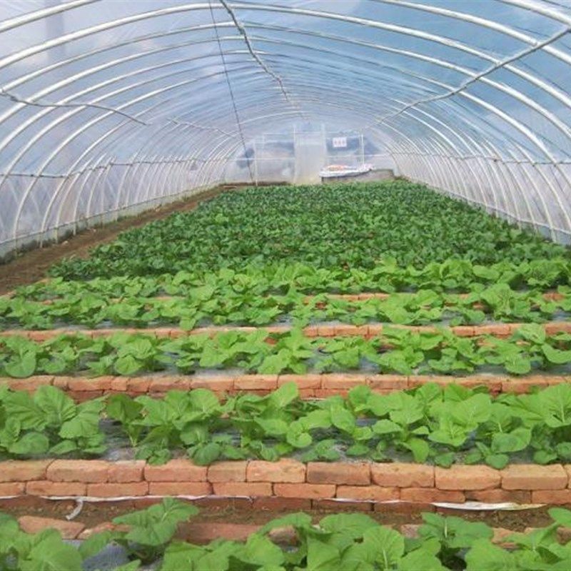 抗老化长寿无滴膜流滴膜蔬菜大棚膜二层保温膜避雨棚小拱棚薄膜