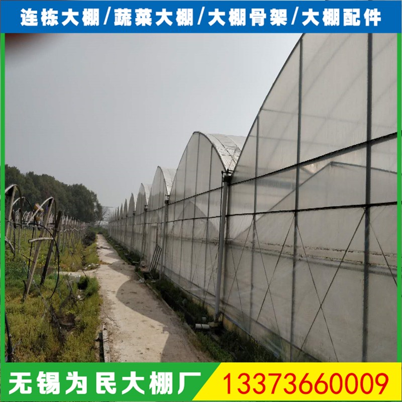 蔬菜育苗薄膜连栋温室大棚厂家  8430外遮阳草莓连体大棚农业钢架