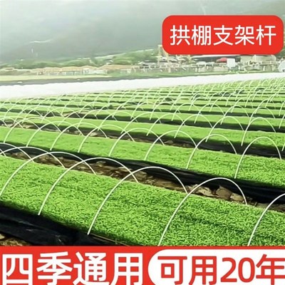 蔬菜棚支架保温棚花棚小拱棚拱杆农用园艺大棚骨架农业玻璃钢拱竿