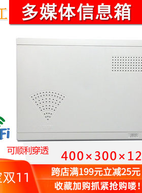 珠江多媒体信息弱电箱空箱室内家用路由器光纤入户箱暗装大号盒子