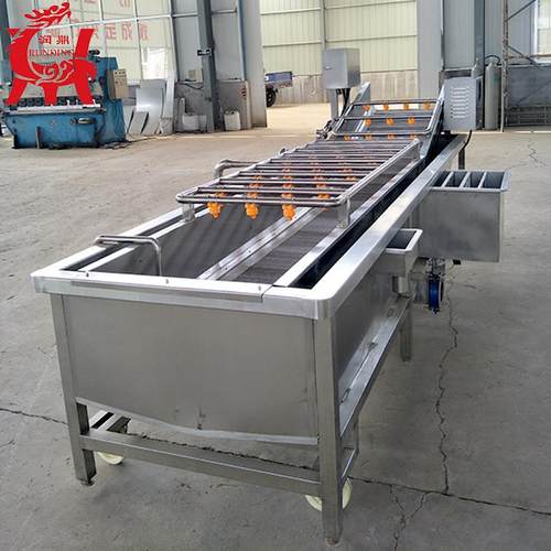 臭氧果蔬清洗机厂家草莓气泡清洗机大枣不锈钢全自动输送清洗机