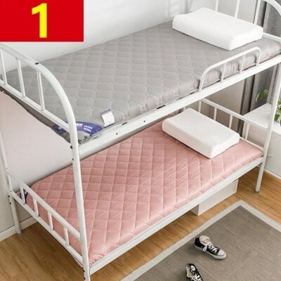 冬夏两用毯秋便携式四季卧室加厚专用租房褥子床褥宿舍床垫可拆。