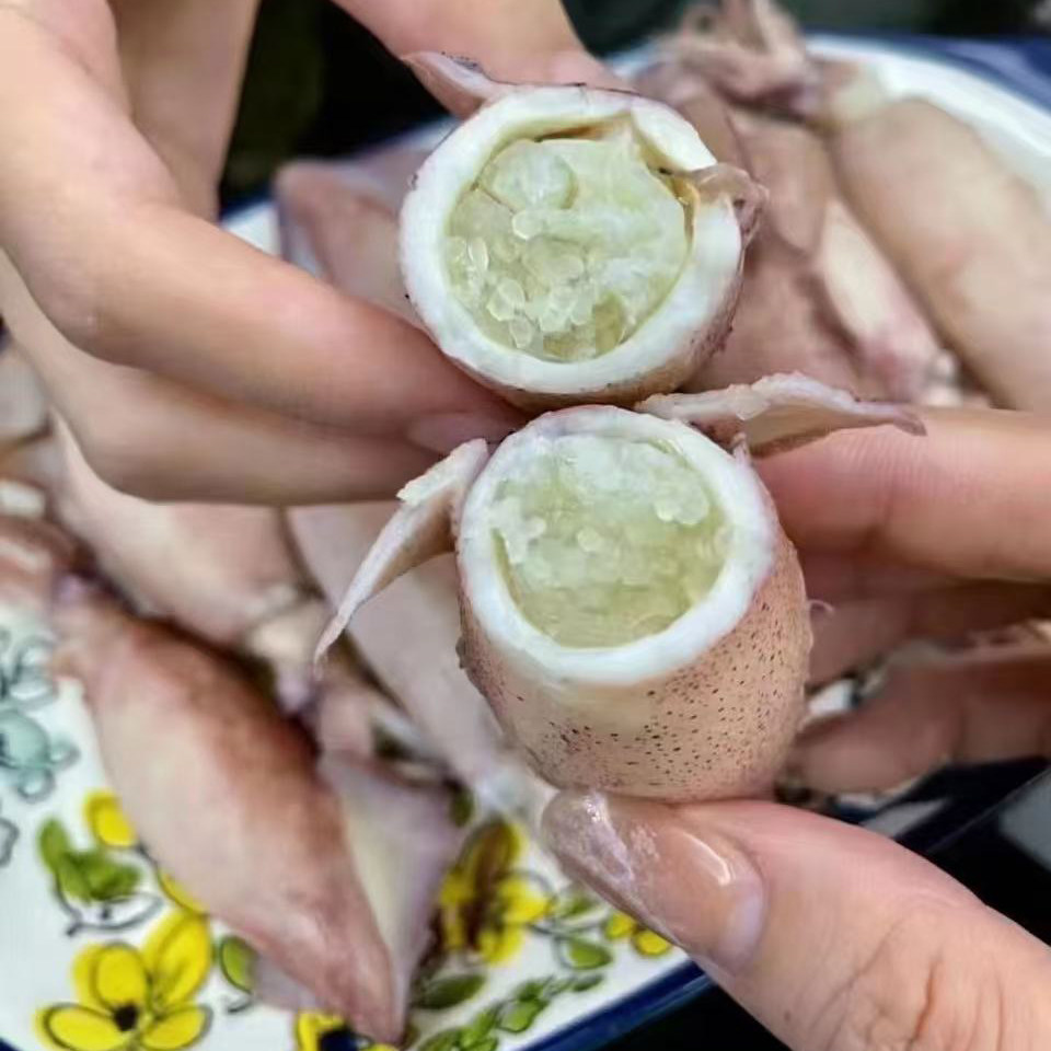 满籽全籽带籽新鲜笔管鱼