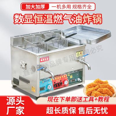 鑫源华娇全自动恒温燃气油炸锅