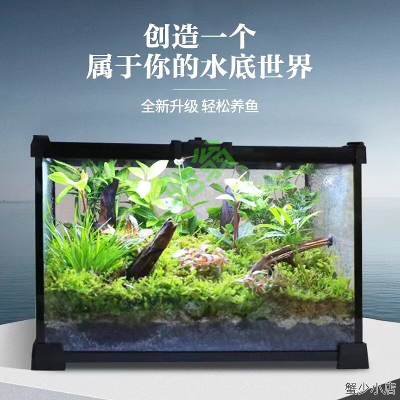 yut创意桌面苔藓微景观水陆爬宠生态缸玻璃饲养箱角蛙水龟雨林缸