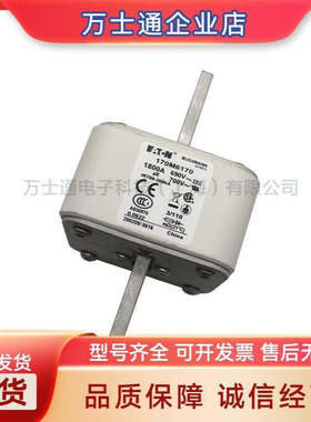 170M6308170M6309170M6310170M6311170M6312/6313全新熔断器
