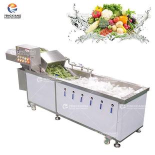 工厂直销WA 1000多功能洗菜机臭氧气泡清洗机