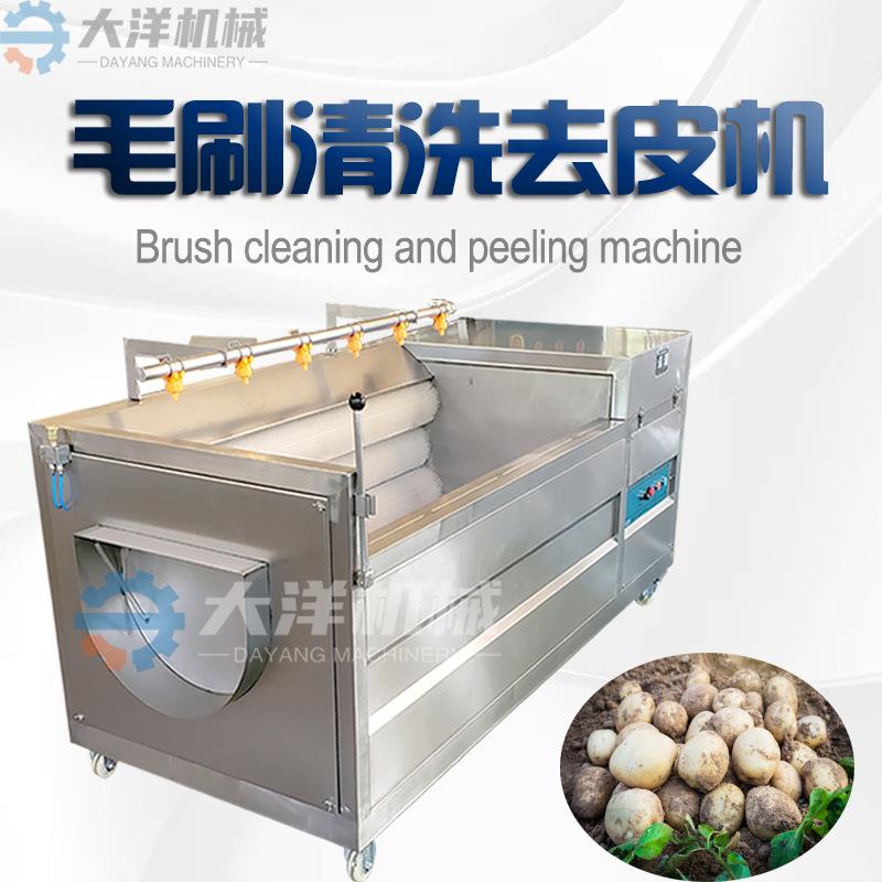 土豆脱皮机商用土豆清洗去皮机大芋头脱皮机毛辊式莲藕清洗脱皮机