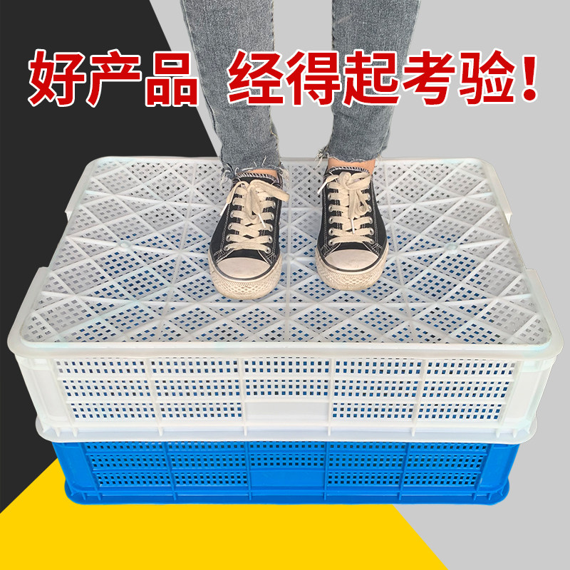 食品级装小龙虾的塑料框周转筐箱批發专用框匡水产运输小眼虾苗筐